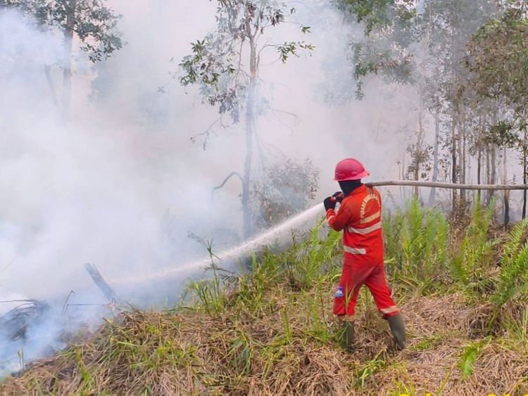 Hotspot Nasional Turun 158 Titik, Operasi Karhutla Berlanjut